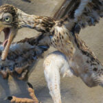 Como os dinossauros evoluíram para pássaros?