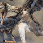 Como os dinossauros evoluíram para pássaros?
