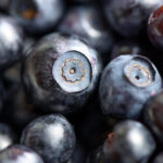 Quais alimentos estimulam o sistema imunológico?