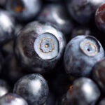 Quais alimentos estimulam o sistema imunológico?