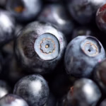 Quais alimentos estimulam o sistema imunológico?