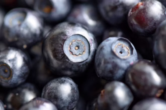 Quais alimentos estimulam o sistema imunológico?