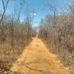 As dificuldades da existência sertaneja em 'Vidas Secas'