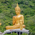 Buda: a fantástica história de Sidarta Gautama