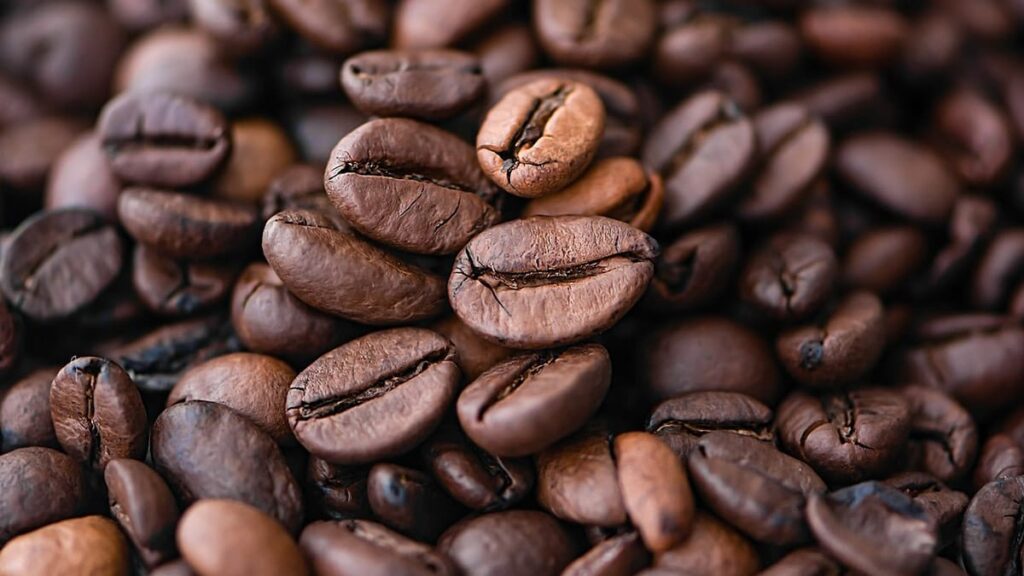 A história do café: da Etiópia ao mundo