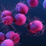 Bactérias resistentes podem matar milhões até 2050