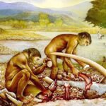 A relação sexual das espécies antecessoras do homo sapiens