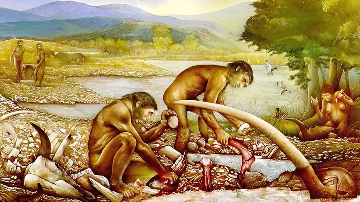 A relação sexual das espécies antecessoras do homo sapiens