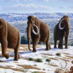 Empresa arrecada US$ 200 milhões para ressuscitar mamutes