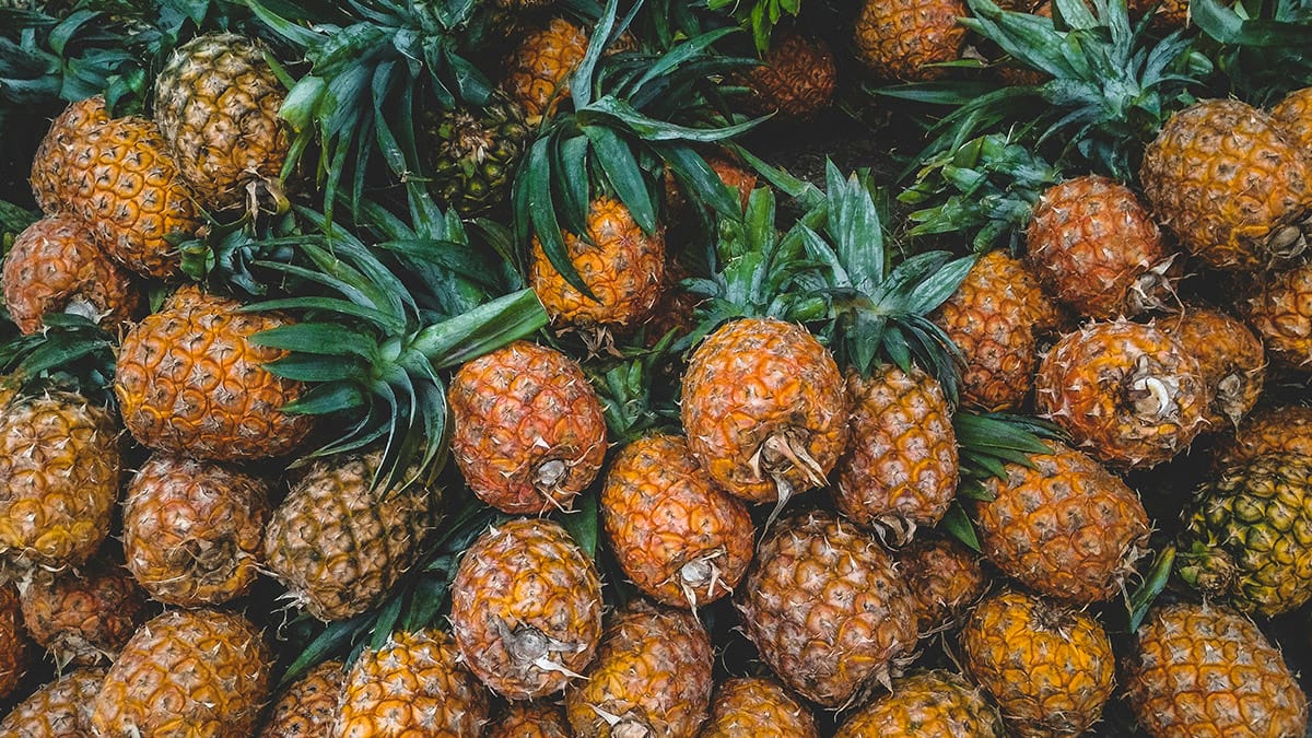 Origem e história do abacaxi