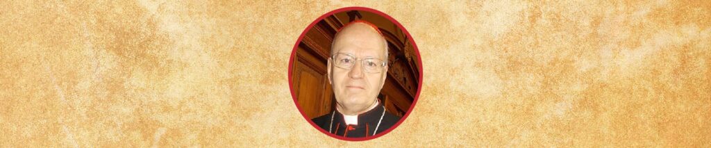 Papabile: 17 cardeais que podem se tornar papa