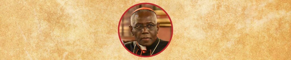 Papabile: 17 cardeais que podem se tornar papa