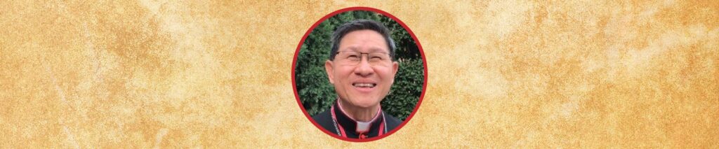 Papabile: 17 cardeais que podem se tornar papa