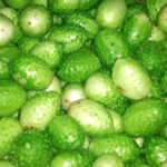 Os benefícios do maxixe