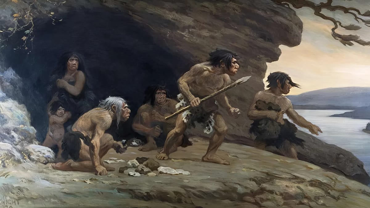 Cientistas acreditam que os neandertais colocavam carne para descansar por alguns dias e depois coletava as larvas. Esta era uma maneira muito fácil de obter alimentos nutritivos e de boa qualidade.