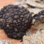 O que são trufas e por que são tão valiosas?