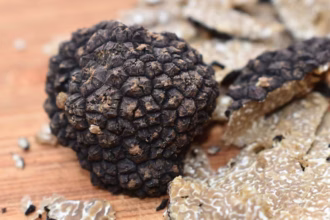 O que são trufas e por que são tão valiosas?