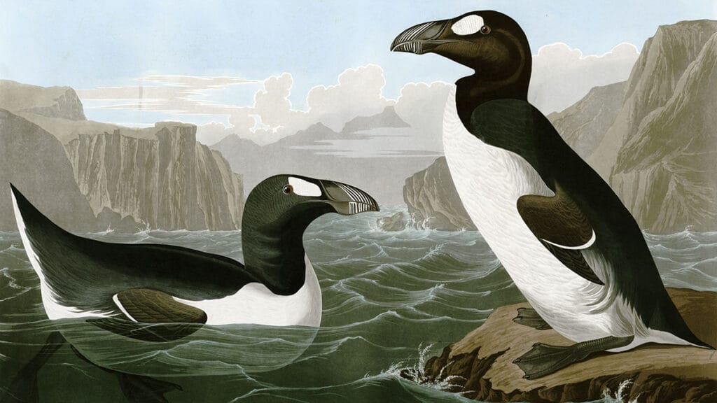 5 animais extintos no século XIX