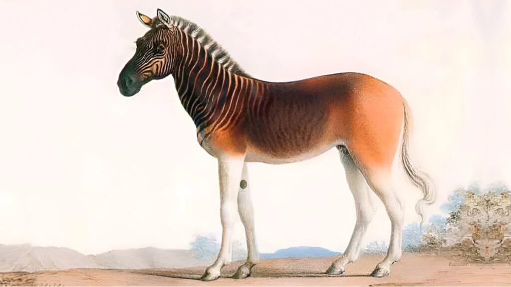 5 animais extintos no século XIX