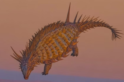 Dinossauro "punk rock" é descoberto no Marrocos