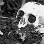 Os 317 esqueletos de Gloucester