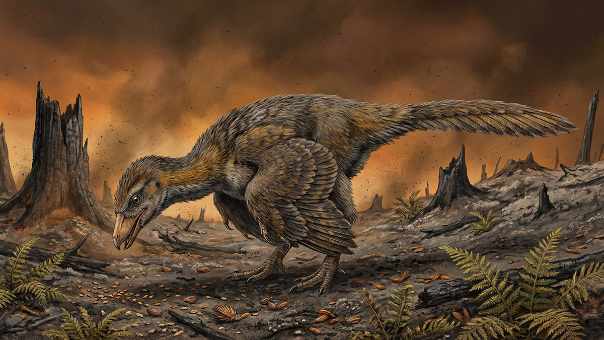 Dinossauros escaparam após queda do asteroide?