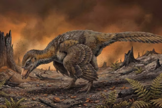 Dinossauros escaparam após queda do asteroide?