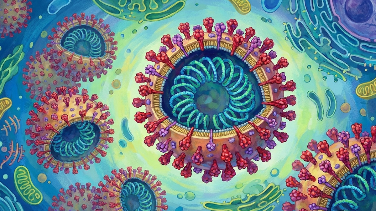 Nipah: saiba tudo sobre o vírus