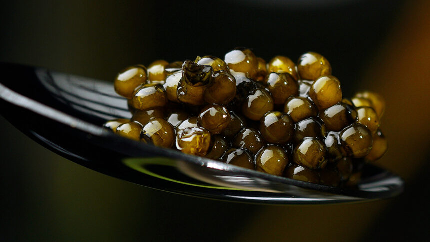O que é caviar?