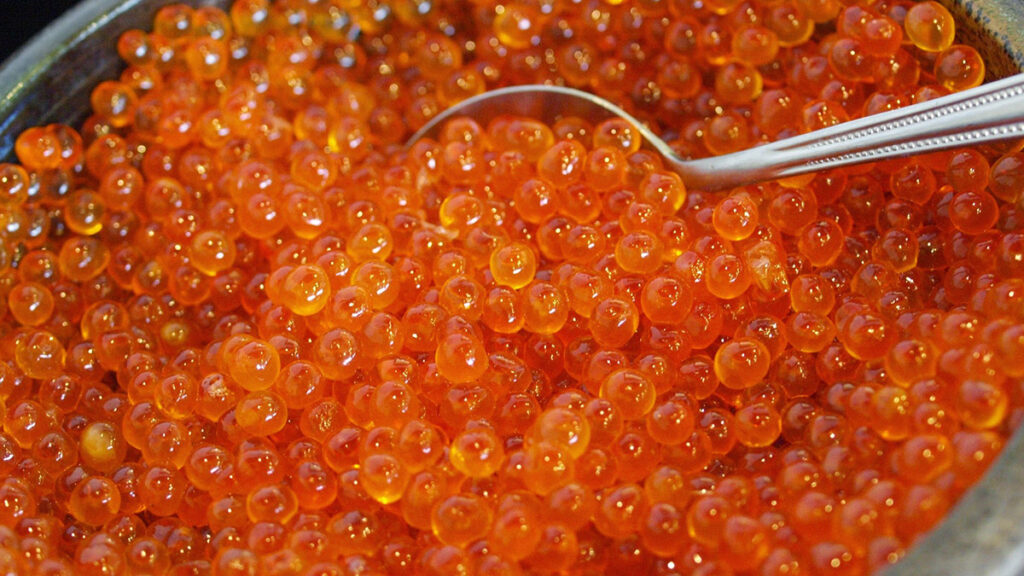 O que é caviar?