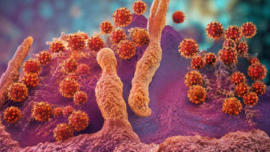Hantavírus: o patógeno que desafia a ciência