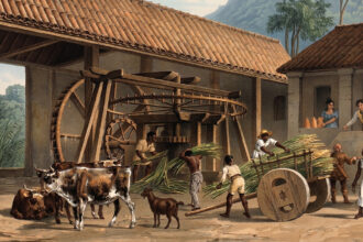 A história da cachaça: origem e popularização