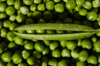 Ervilha: origem e sua expansão na dieta alimentar global