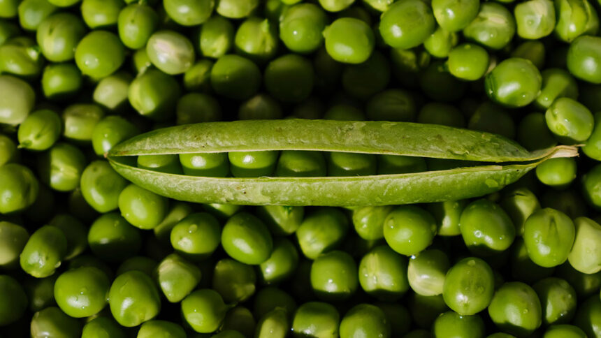 Ervilha: origem e sua expansão na dieta alimentar global