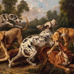 A origem dos cães e sua domesticação