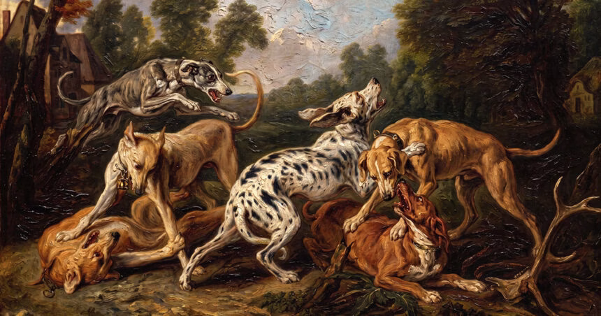 A origem dos cães e sua domesticação