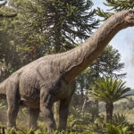 Patagotitan mayorum: o maior dinossauro conhecido