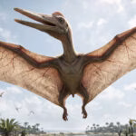 Como viveram os pterodáctilos?
