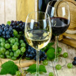 A história do vinho e a origem da uva