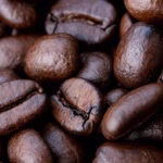 Café no Brasil: da origem às grandes lavouras