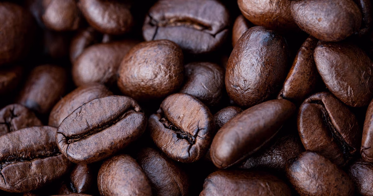 Café no Brasil: da origem às grandes lavouras
