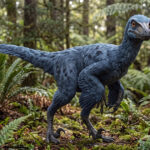 Os dinossauros eram inteligentes?