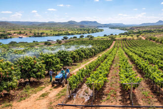 A história da fruticultura no Vale do São Francisco